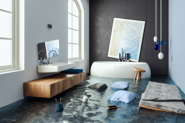 Best Mold removal after water damage  in Blackwell, OK