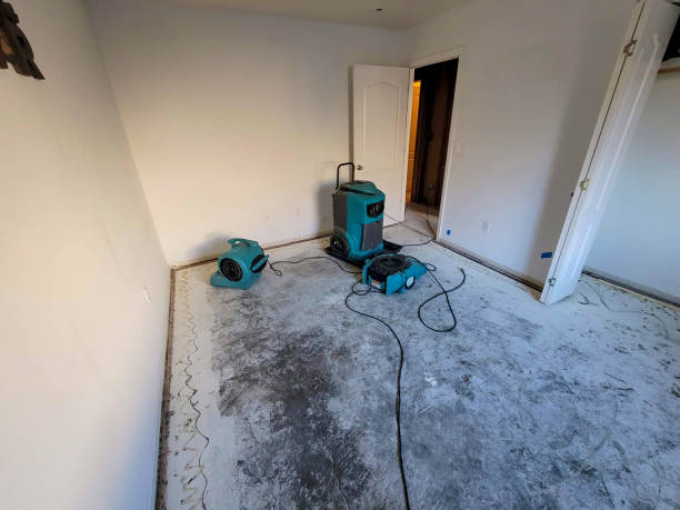 Best Mold removal after water damage  in Blackwell, OK