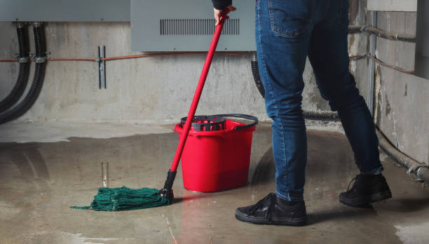 Carpet water damage restoration in OK