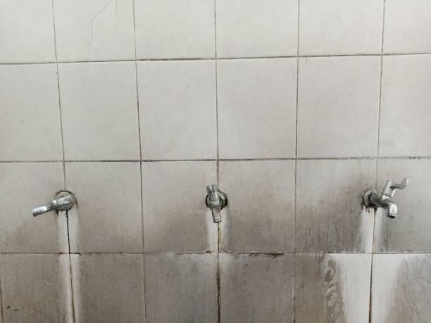 Best Carpet water damage restoration  in Blackwell, OK