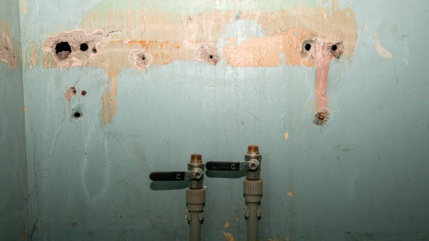 Best 24/7 water damage repair  in Blackwell, OK